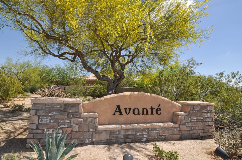 Avante community entrance monument