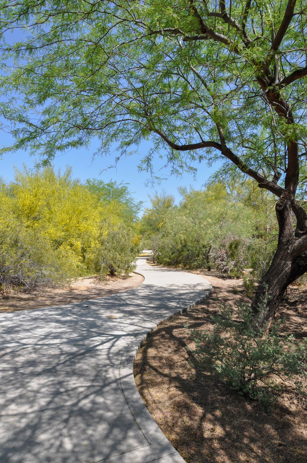Who Is Moving To Arizona?